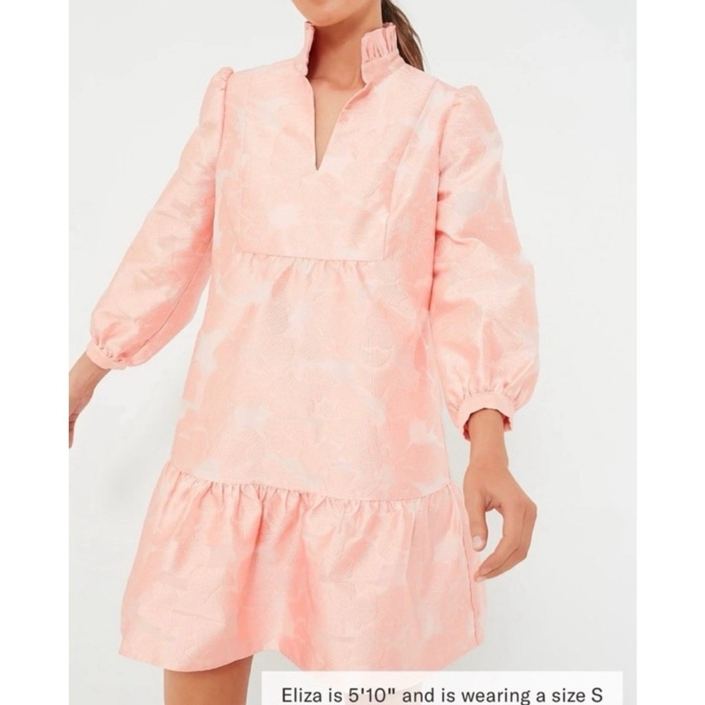 Tuckernuck NEW Bellini Fil Coupe Pink Drop Waist Long Sleeve Palmerston Dress XS